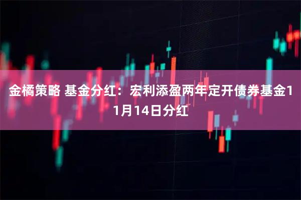金橘策略 基金分红：宏利添盈两年定开债券基金11月14日分红