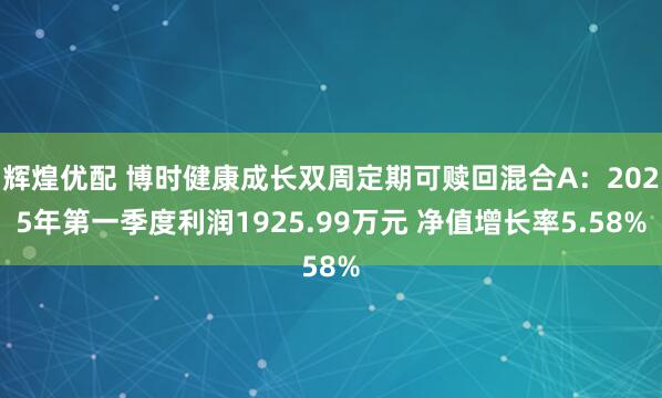 辉煌优配 博时健康成长双周定期可赎回混合A：2025年第一季度利润1925.99万元 净值增长率5.58%